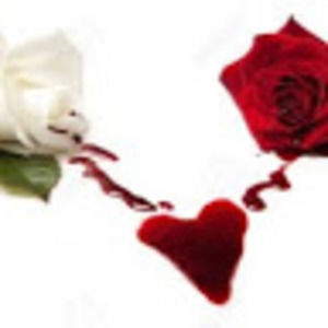 Meet your Posher, Hailey